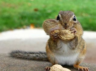 211 Turkey Knob Rd, Quicksburg, VA 22847