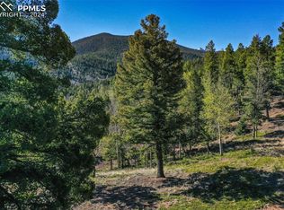 1100 Elk Rdg S, Divide, CO 80814