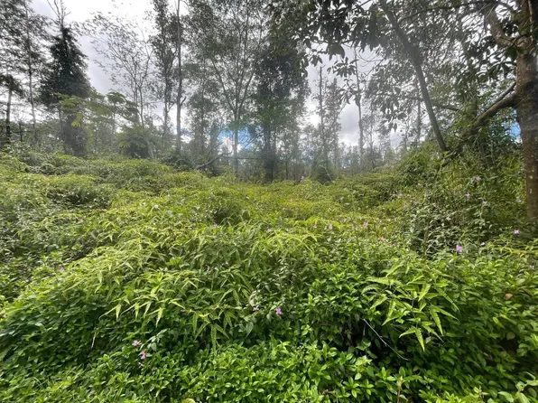 Plumeria Rd Lot 346, Pahoa, HI 96778