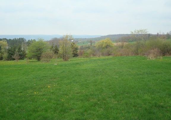 View from back yard!