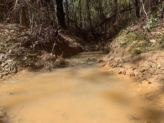 Branch Flowing Through Center of Property