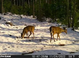 0 El Dorado Ln, Roscommon, MI 48653