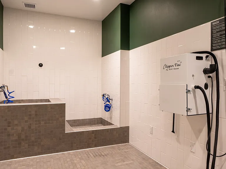 MV Apartments — Photo 18
