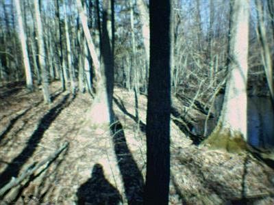 2nd image of 1280 S Sullivan Rd