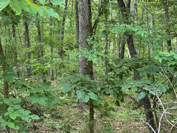 (undisclosed Address), Locust Grove, AR 72550