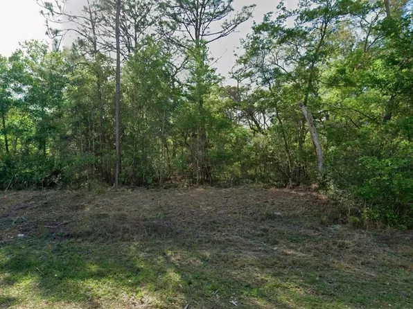 10830 N Hatari Dr Lot 10, Dunnellon, FL 34434