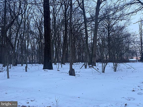 5th image of 2918 Snake Hill Rd