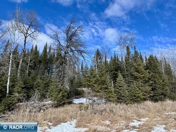 6670 Wahlsten Rd, Tower, MN 55790