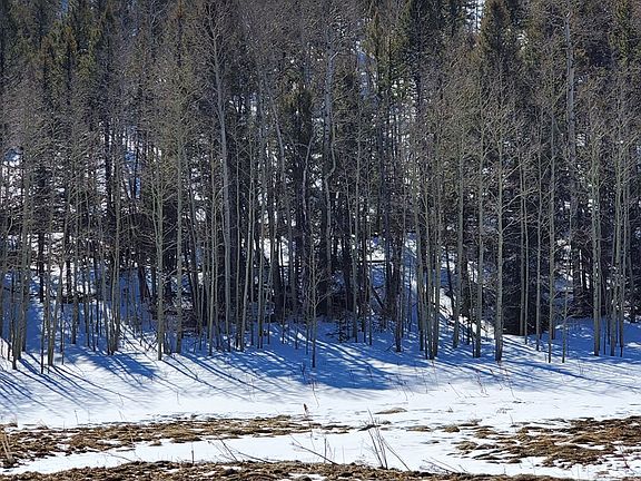 4th image of 386 Hidden Valley Dr