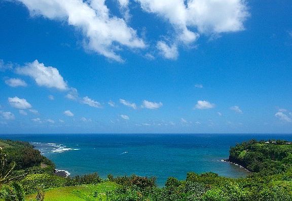 5th image of 5-3000 Kuhio Hwy