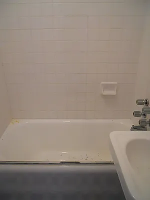 Rented by MetroNest | media 4