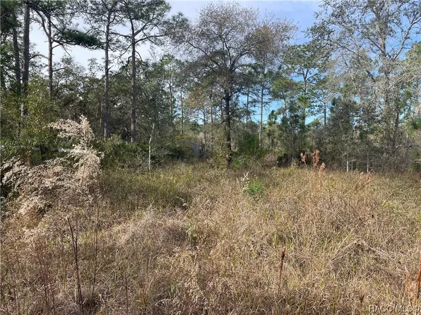 11381 S Rosewater Point, Homosassa, FL 34446