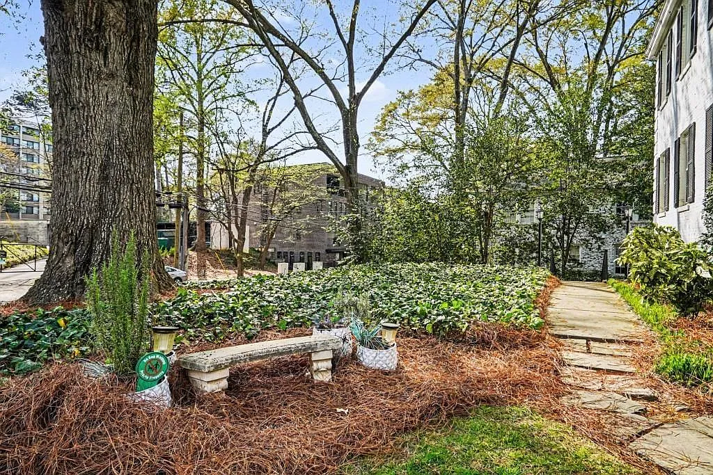 1 bed, 1.0 bath, 602 sqft, $1,250 — Photo 4