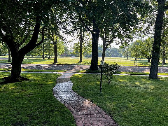 View of green space !