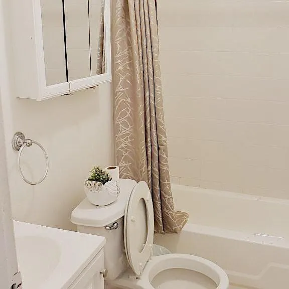 2402 Spruce St #2R — Photo 5