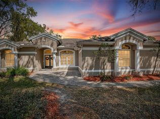5838 Audubon Manor Blvd, Lithia, FL 33547