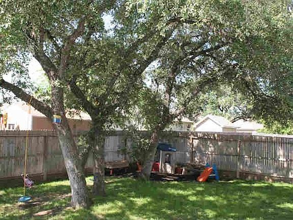 Shaded back yard