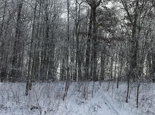 LOT 19 20 3/8 St, Cameron, WI 54822