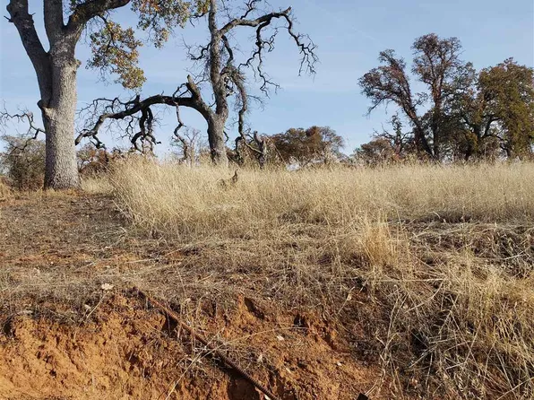 14000 Cadena Way, Coulterville, CA 95311