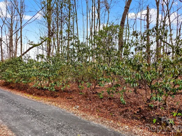 Red Bird Rd, Spruce Pine, NC 28777