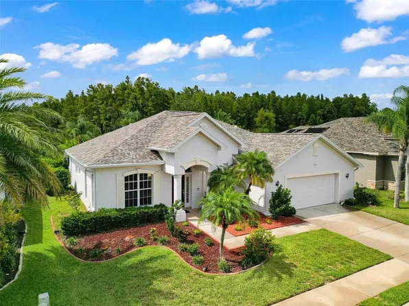 2131 BLUE BEECH COURT, TRINITY, FL 34655