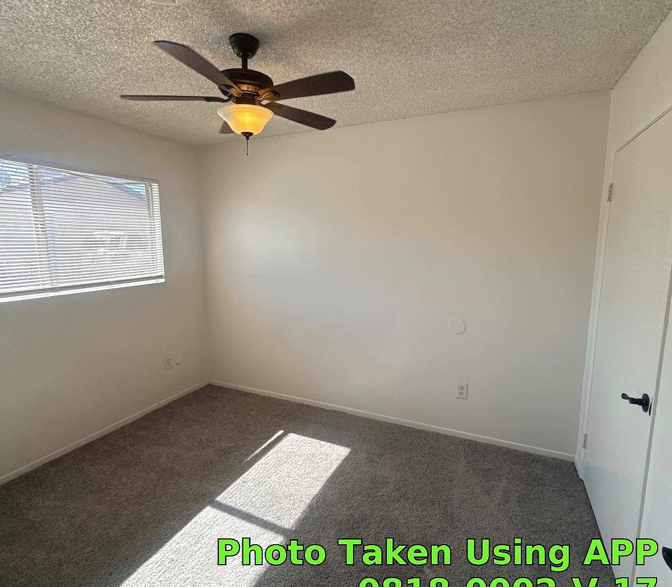 2 bed, $1,095 — Photo 4