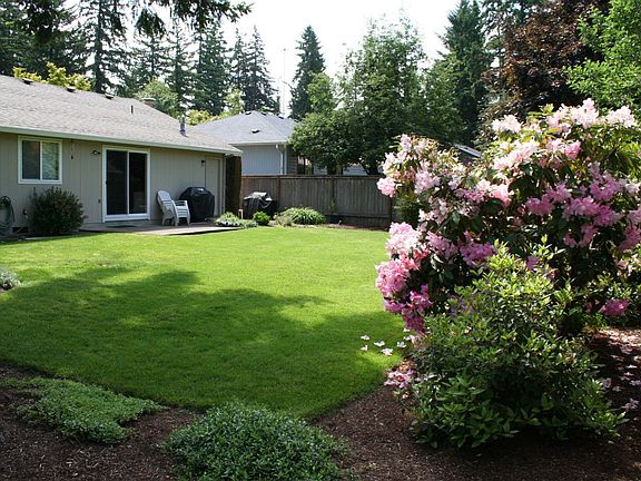 Back yard