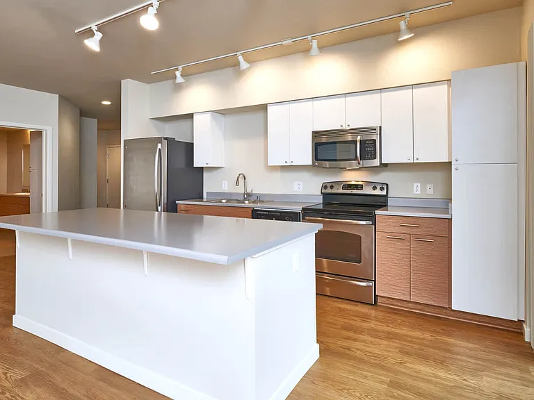 Kitchen with Stainless Steel Appliances