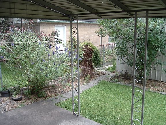 Back Yard and Patio