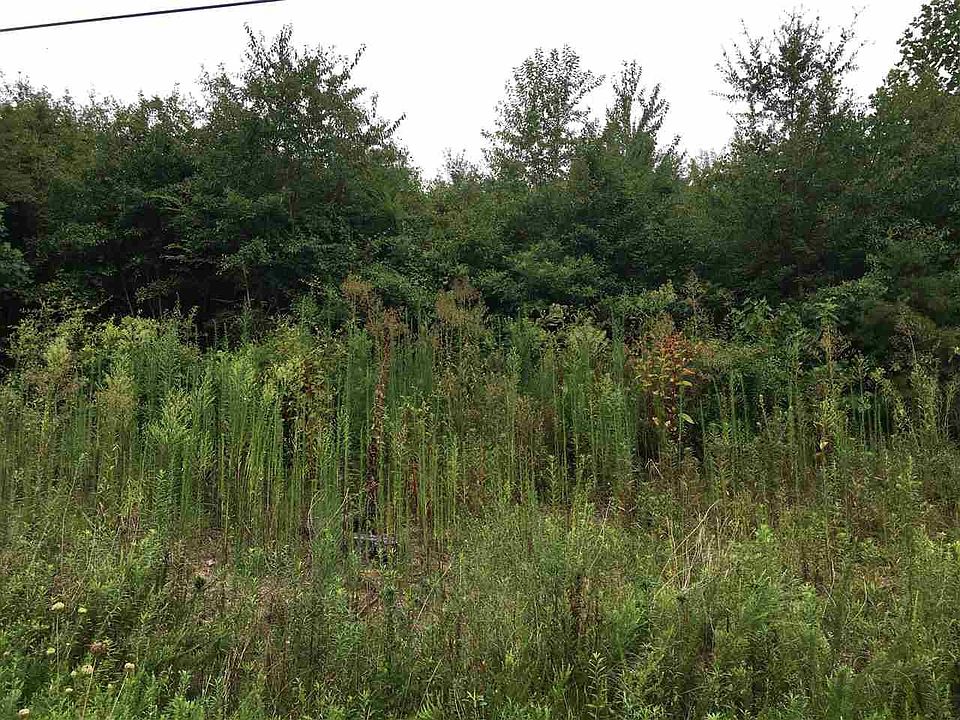 1st image of LOT 28