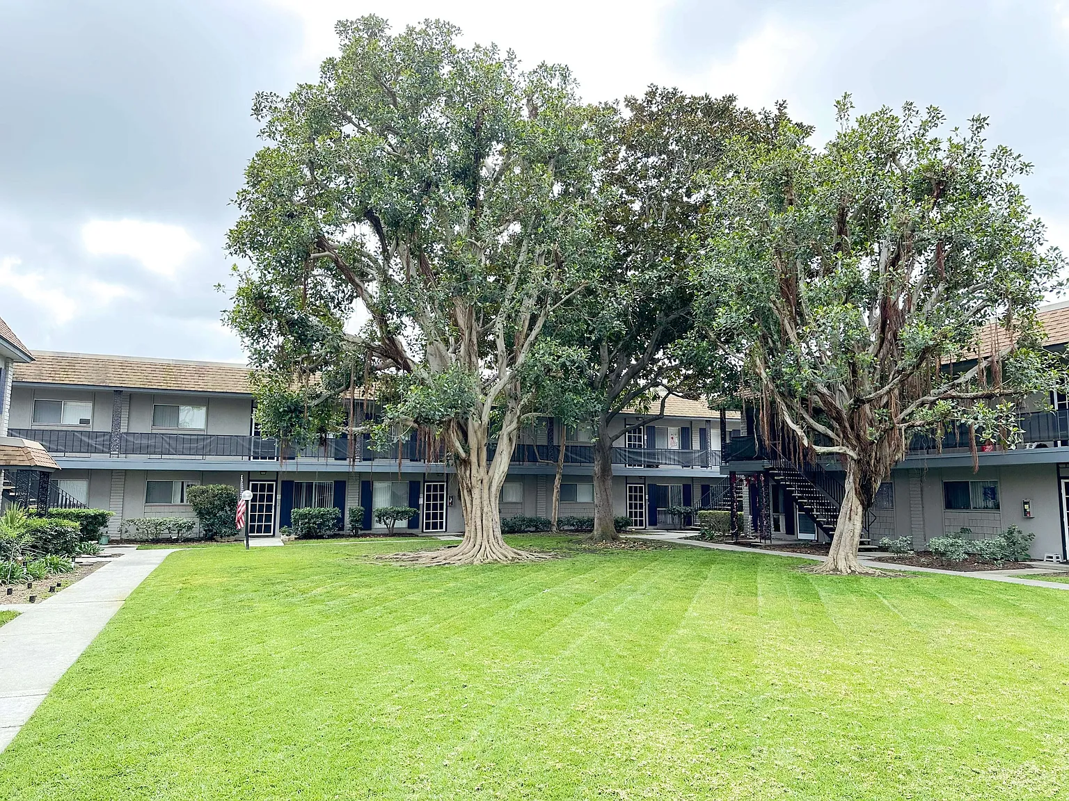 Regency Palms — Photo 4