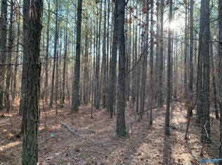 1125 Jones Chapel Rd, Piedmont, AL 36272