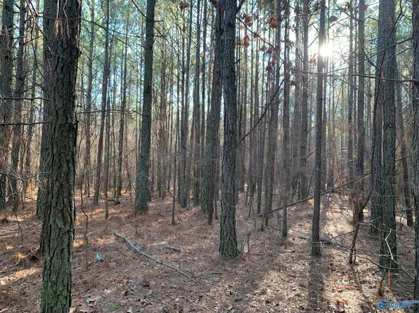 1125 Jones Chapel Rd, Piedmont, AL 36272