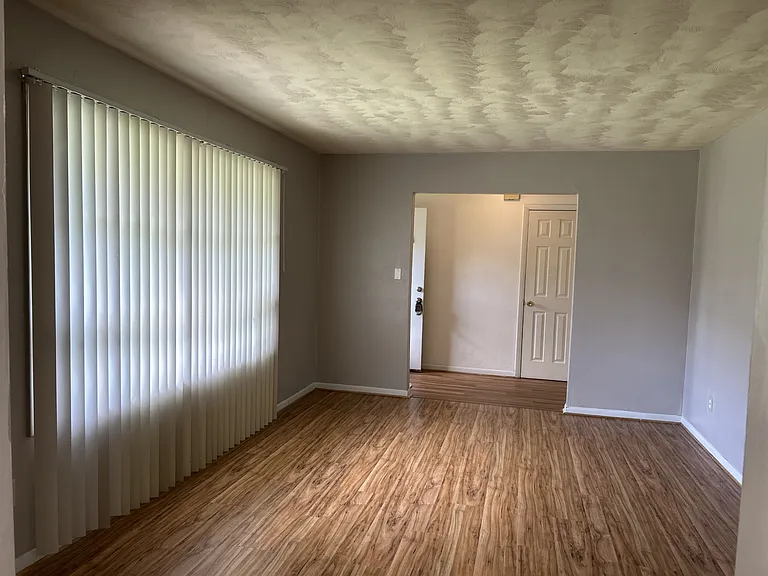 View from the dining room