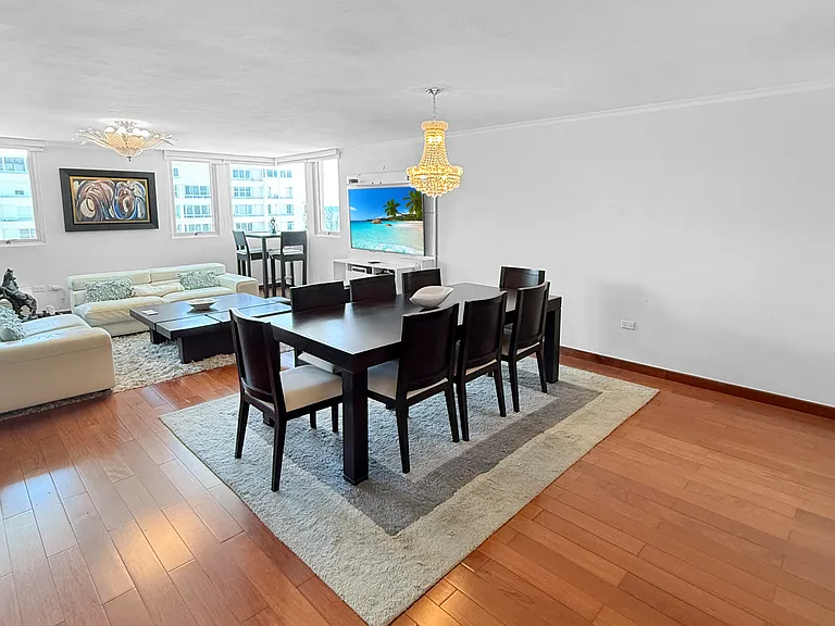 5245 Avenue Isla Verde #702 — Photo 3
