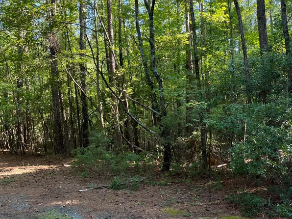 43 Olde Dutch Court, Kinston, NC 28504