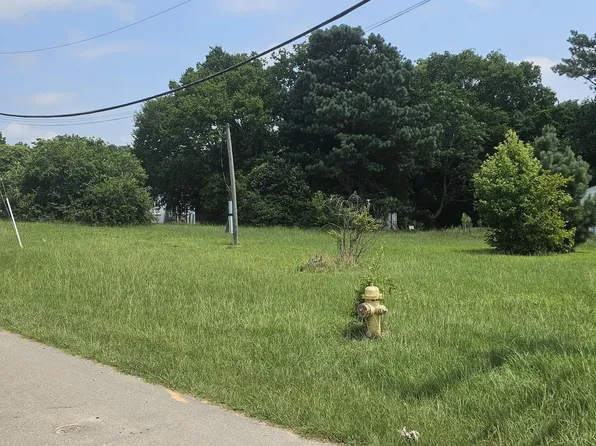 Tbd County Road, Weldon, NC 27890