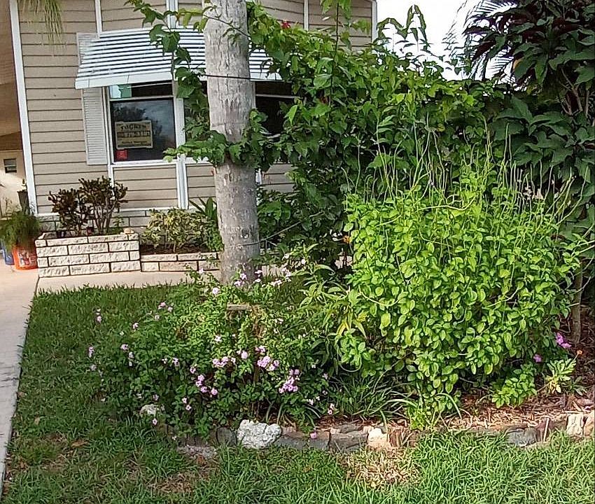 1st image of 14464 Dalia Ave