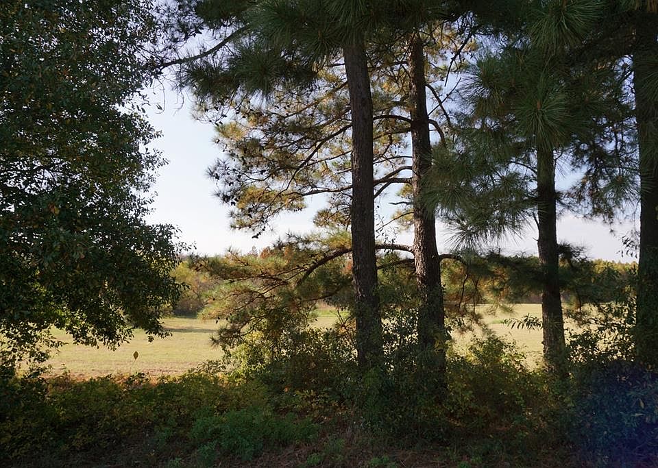1st image of 165 Lago Vista Dr