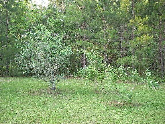FRUIT TREES