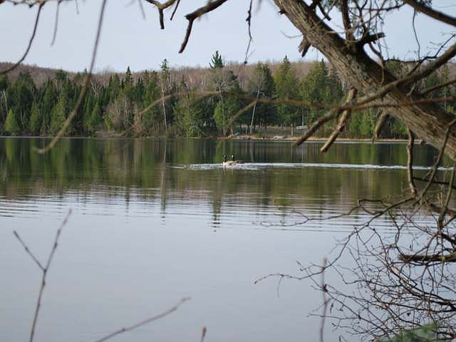 1st image of On W Shore Ln