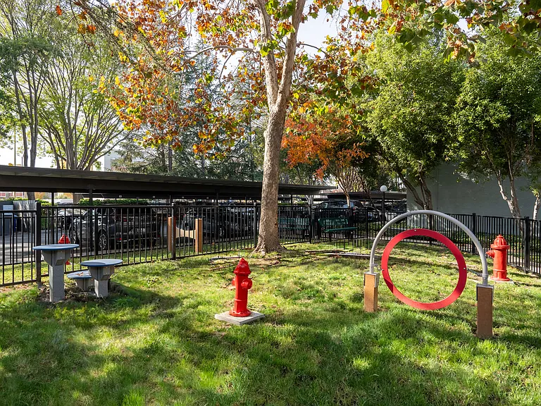 Rancho Luna Sol — Photo 41