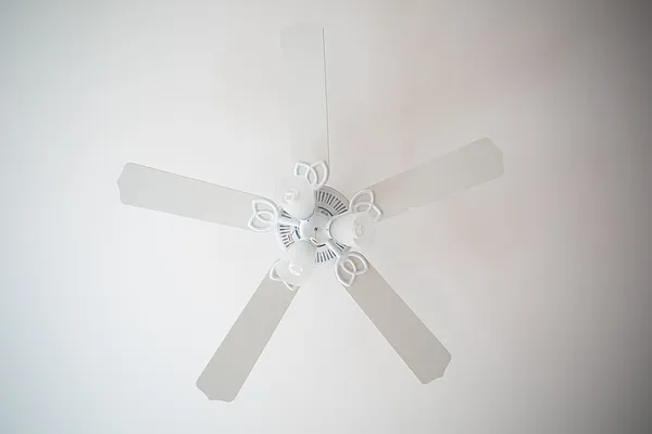 Rented by Evergreen Apartments BK | media 18