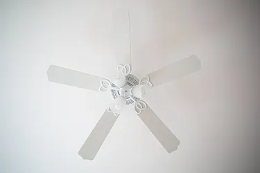 Rented by Evergreen Apartments BK