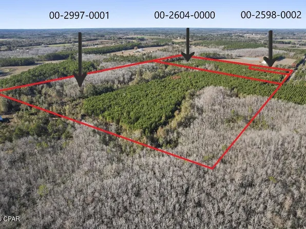 0 New Prospect, Chipley, FL 32428