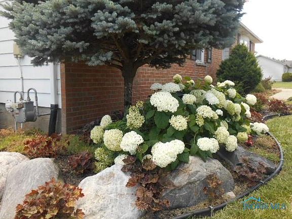 3rd image of 1956 Riverview Dr