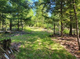 67 Bog Brook Road, China, ME 04358