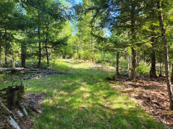 67 Bog Brook Road, China, ME 04358
