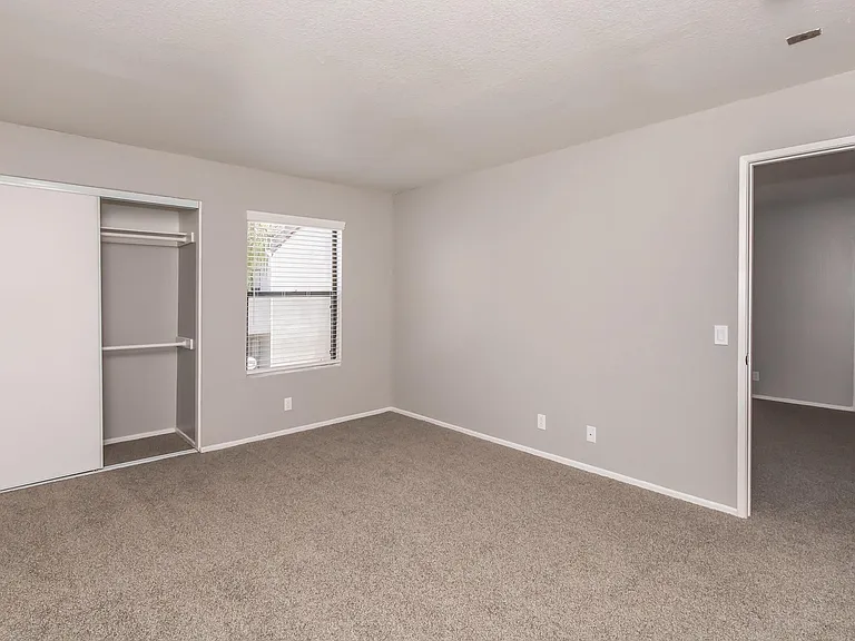 Palm Court Apartment Homes — Photo 49