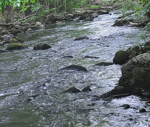 River just 50' from house